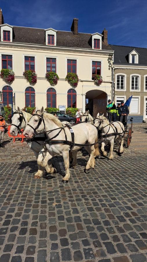 Gite La Grange 8Personnes Au Sein D'Un Elevage De Chevaux Brucquedal Εξωτερικό φωτογραφία